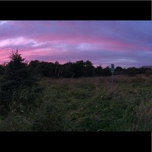 Meet your Posher, Hailey